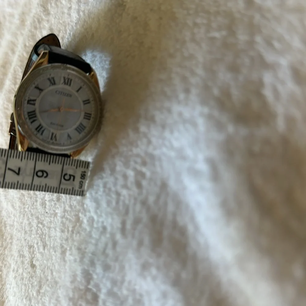 Citizen women’s Black and Gold Eco-Drive Watch